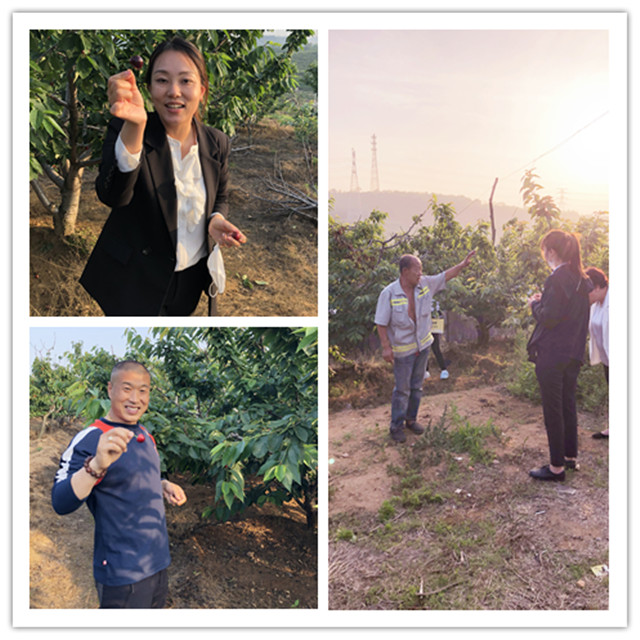 中国·tyc1286太阳成集团(股份)有限公司-官方网站