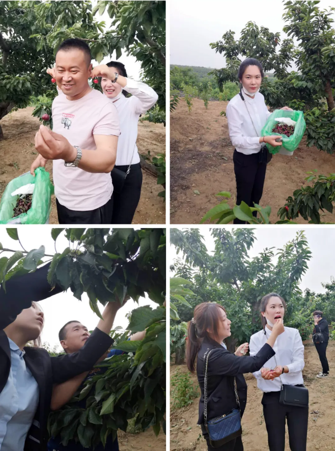 中国·tyc1286太阳成集团(股份)有限公司-官方网站