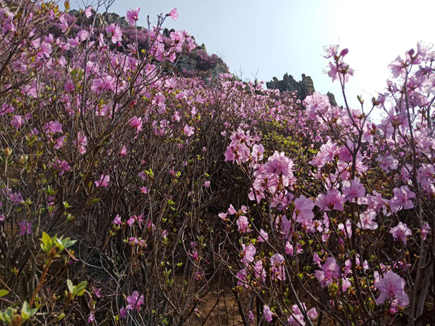 中国·tyc1286太阳成集团(股份)有限公司-官方网站