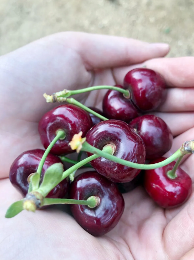 中国·tyc1286太阳成集团(股份)有限公司-官方网站