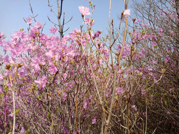 中国·tyc1286太阳成集团(股份)有限公司-官方网站