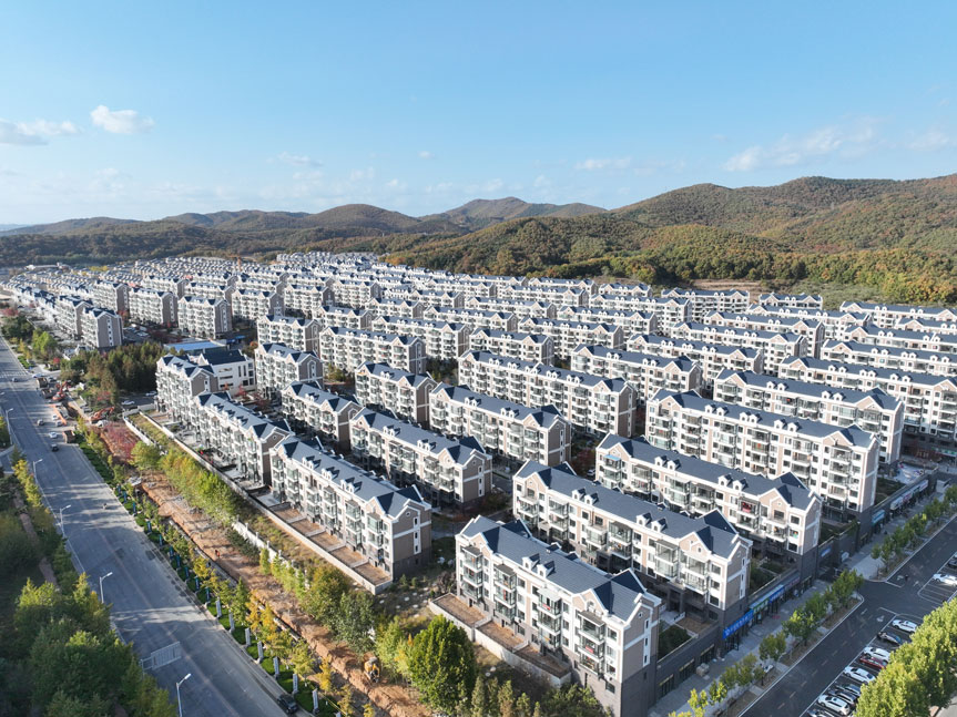 8a00350f05d409fdac1b61dedb4b1987